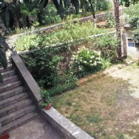 Lovely Loft W Patio & Garden Appartement *